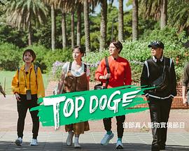 51本色《TOP DOG》免费在线观看