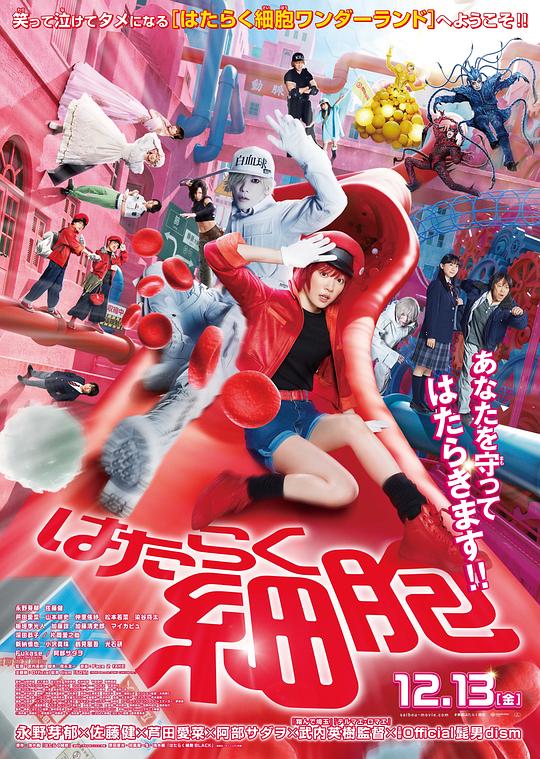 51暗网《工作细胞 真人版 はたらく細胞》免费在线观看