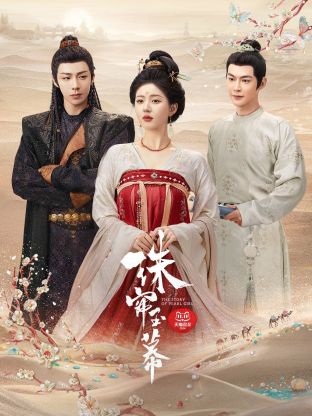 51暗网《珠帘玉幕》免费在线观看