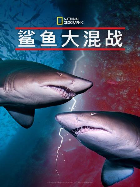 51本色《鲨鱼大混战》免费在线观看