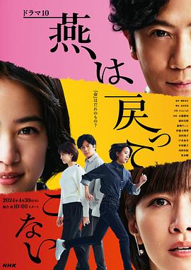 51暗网《燕子不再归来》免费在线观看
