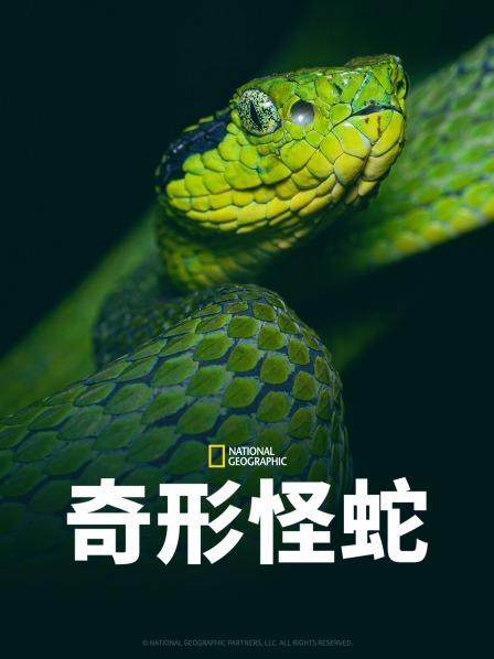 51热门黑料《奇形怪蛇》免费在线观看